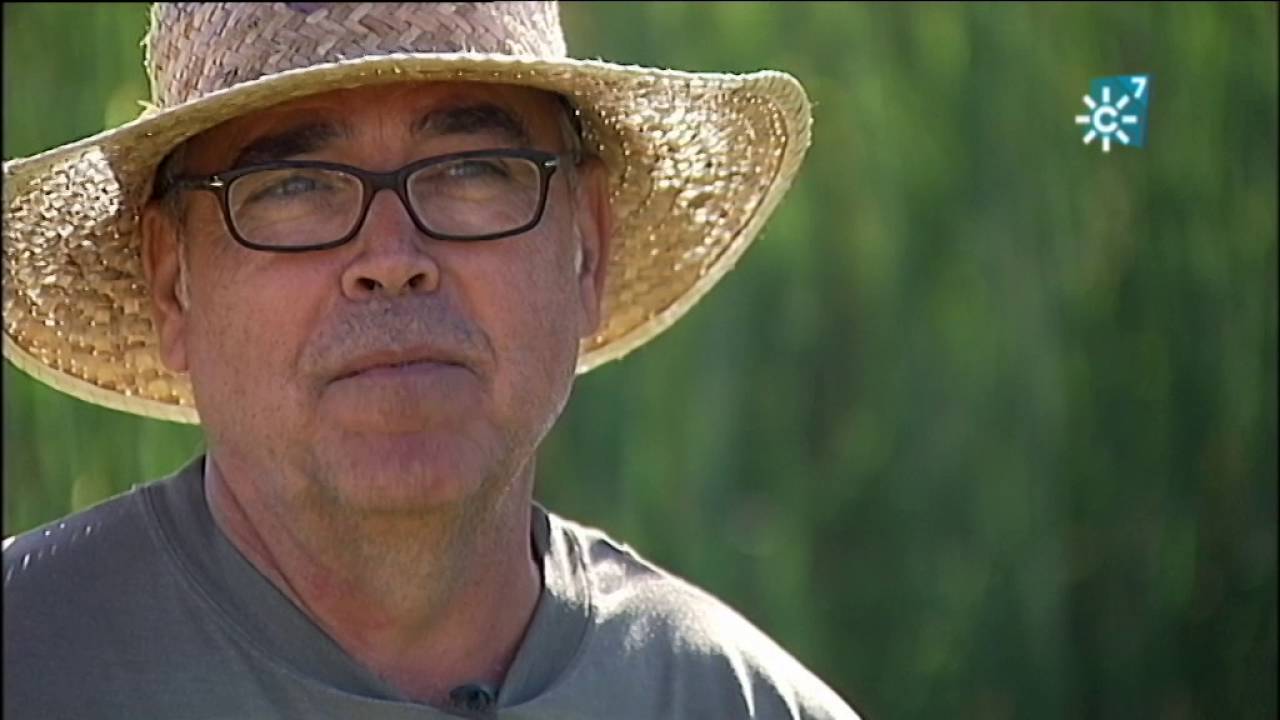 El oficio de sillero y recolector de enea