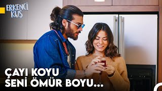 Sanem'in Aşkı Bulma Yolculuğu #84 - Erkenci Kuş