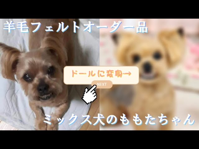 大好きなみんなへ 羊毛フェルトオーダー品 ミックス犬のももたちゃん Youtube 大好きなみんなへ 羊毛フェルトオーダー品 ミックス犬のももたちゃん Youtube