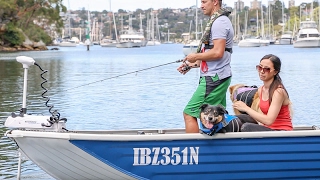 Fishing and Boating Safety for Dogs!