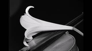 Popcornoldies  Martha Velez  There You Are