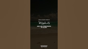 القارئ | ناصر القطامي  READER | Naser Al Katamy