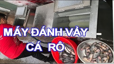 làm sạch vảy cá rô đồng bằng máy đánh vảy takyo tk 700 sử dụng điện 1 pha 220v