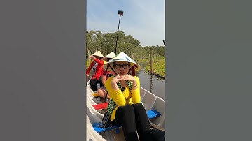 Vẻ đẹp của Rừng Tràm Trà Sư An Giang #shorts