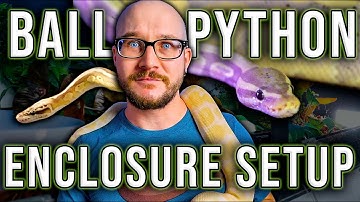 Ball Python Setup | How To Set Up A Ball Python Enclosure On ANY Budget 2022