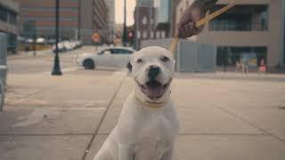 Winston-Salem Walk About