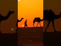 الصحابي الذي جاء إلى النبي وطلب الناقة Shorts قصص Trending غصن لايك اشتراك Fyp Explore الصحابي الذي جاء إلى النبي وطلب الناقة Shorts قصص Trending غصن لايك اشتراك Fyp Explore