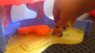 Acapella Fan Videolps