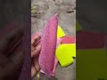 Video Image