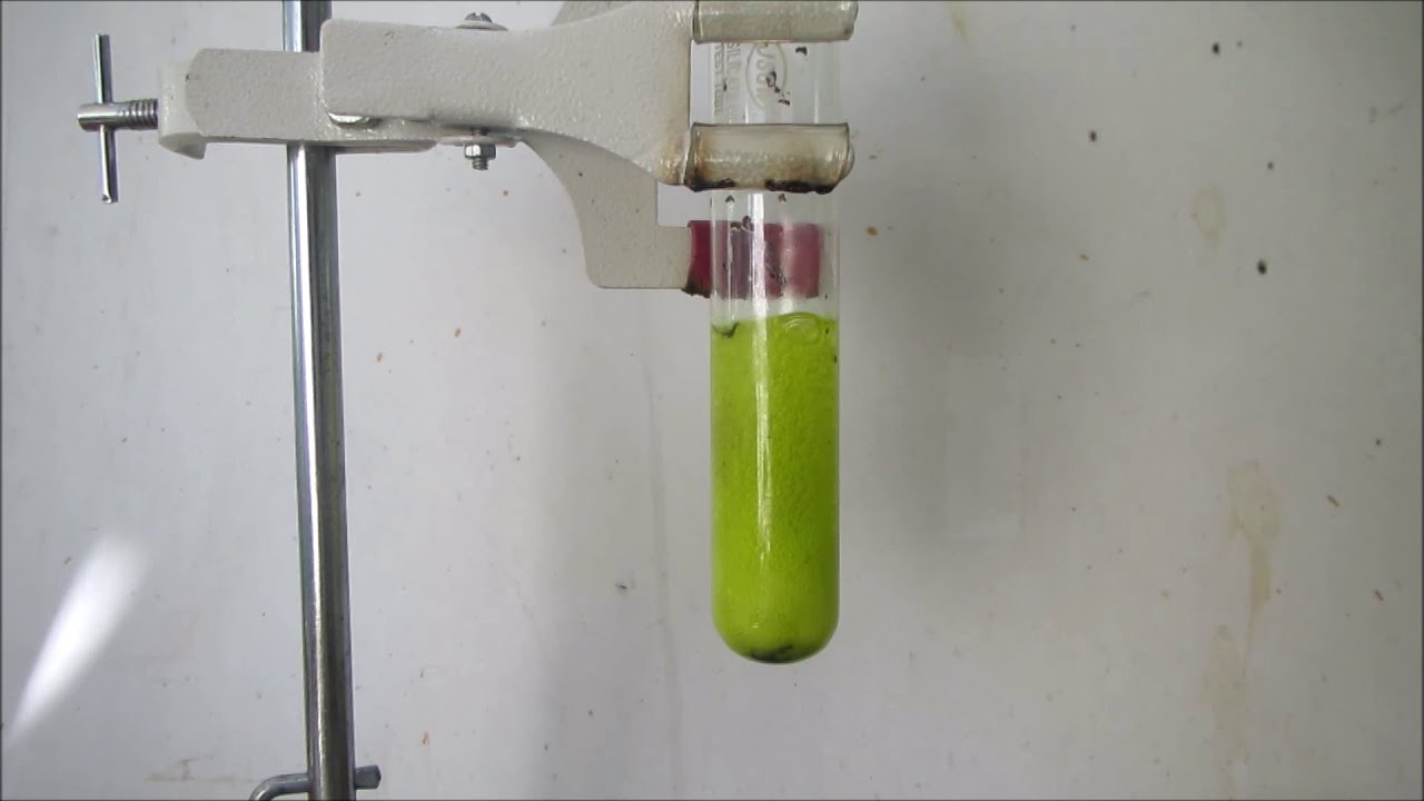 Metals Vs Hydrochloric acid YouTube