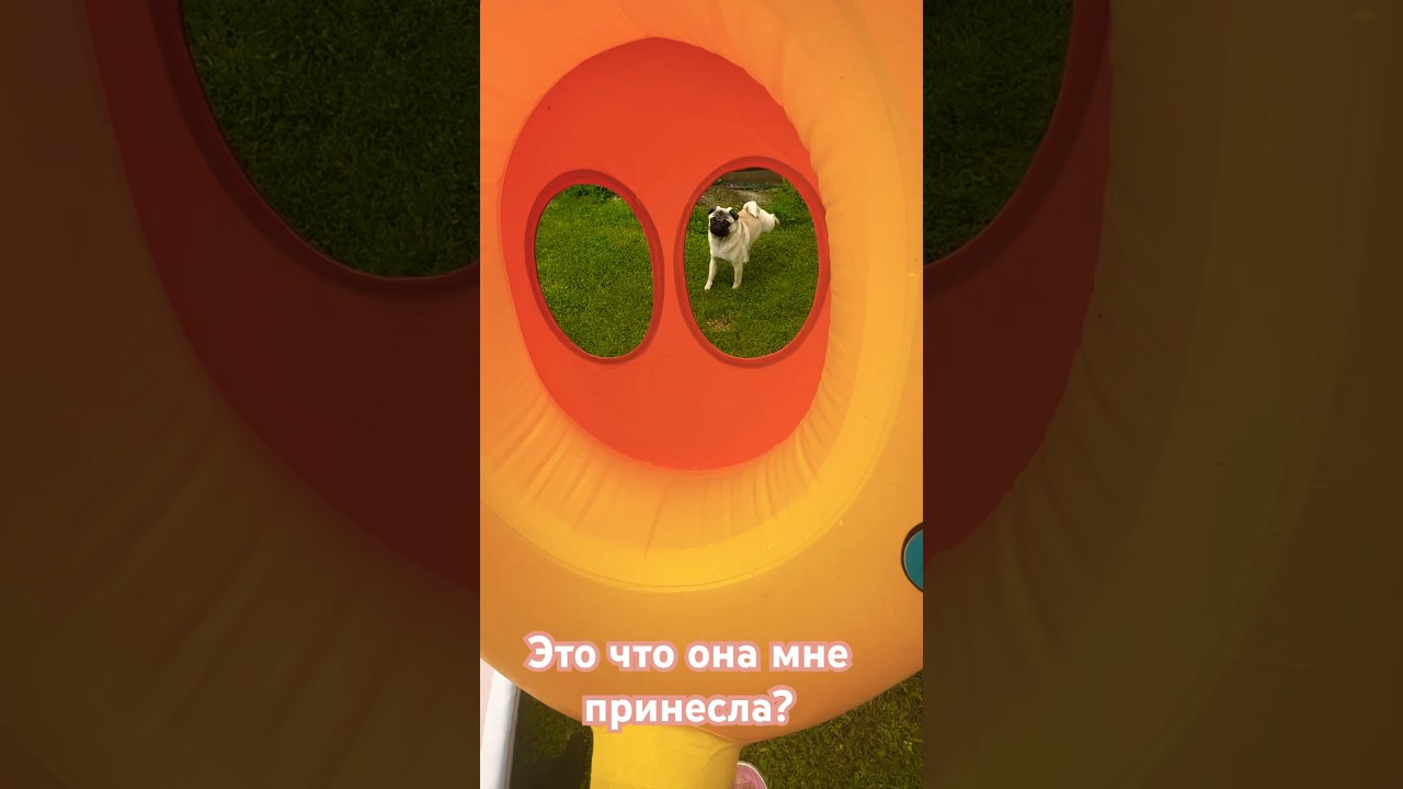 Что это? Для чего это? 