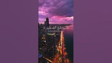 سورة الروم