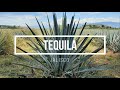 Tequila Jalisco, más que un Pueblo Mágico!