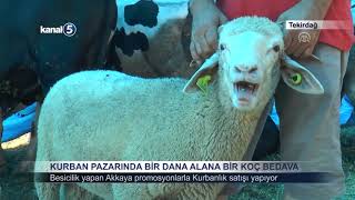 Kurban Pazarında Bir Dana Alana Bir Koç Bedava Resimi