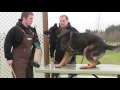 Training the guard excersise- Training the guard excersise-