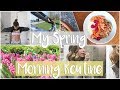 MY SPRING MORNING ROUTINE 2017 | Healthy Morning Habits