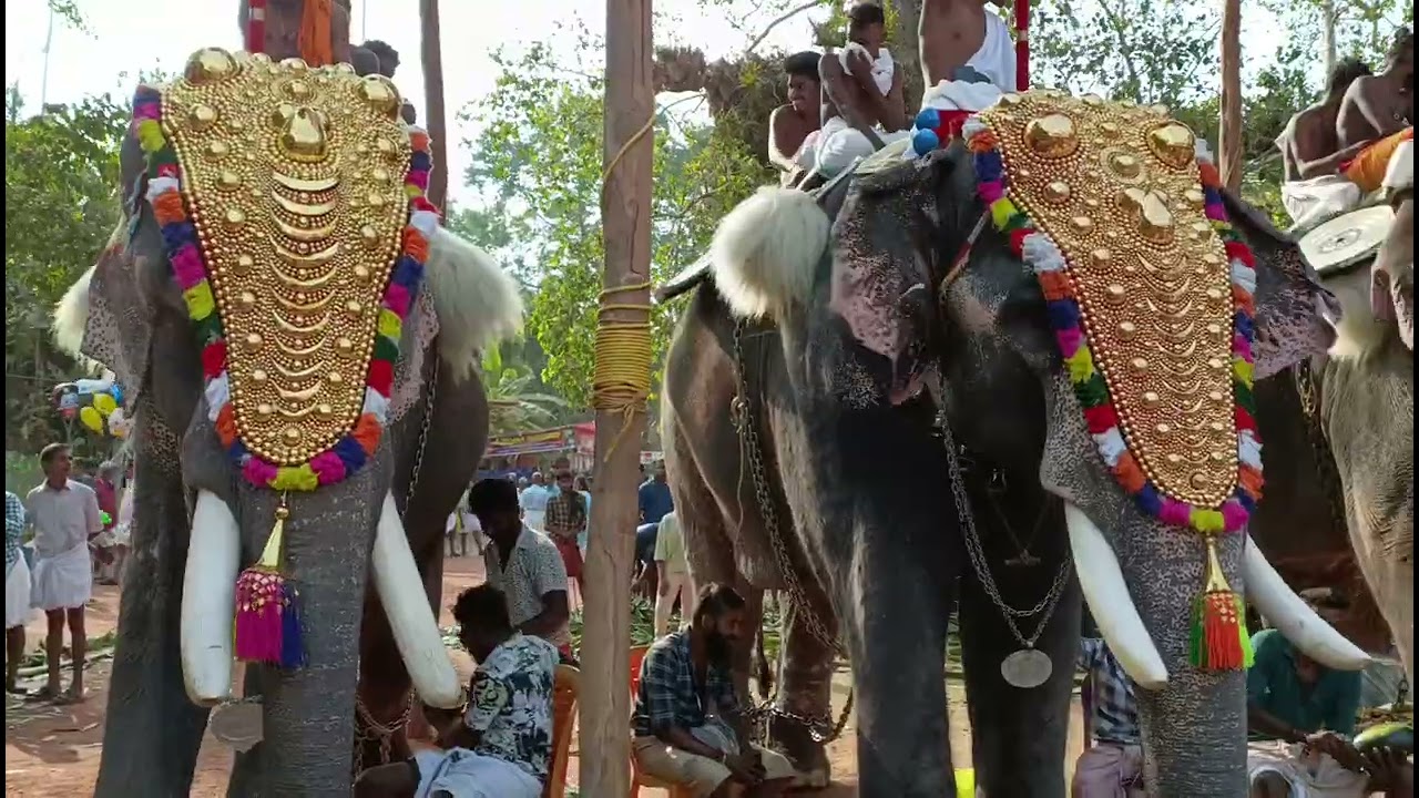 പയ്യൂർക്കാവ് പൂരം 2024.