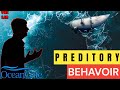 Stockon Rush&#39;s  Behavior Was &quot;Predatory&quot;  / Is OceanGate Criminally Liable?