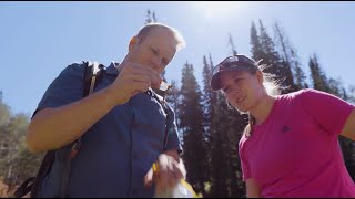 Dragonfly family tree: BYU-NSF study ancient fliers, modern survivors