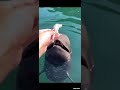 ちびクロちゃん😊クジラの子供🐳エサあげてきた✨