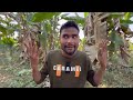 গফীয়াল চাচা | Sylheti natok | Northeast Comedians |