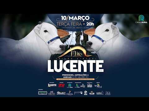 LOTE 22   MOGIANA 4 FIV PSJ   PSJ 370