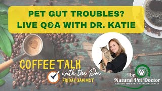 Cat & Dog Gut Health Problems  Q&A with Dr. Katie Woodley  Holistic Veterinarian