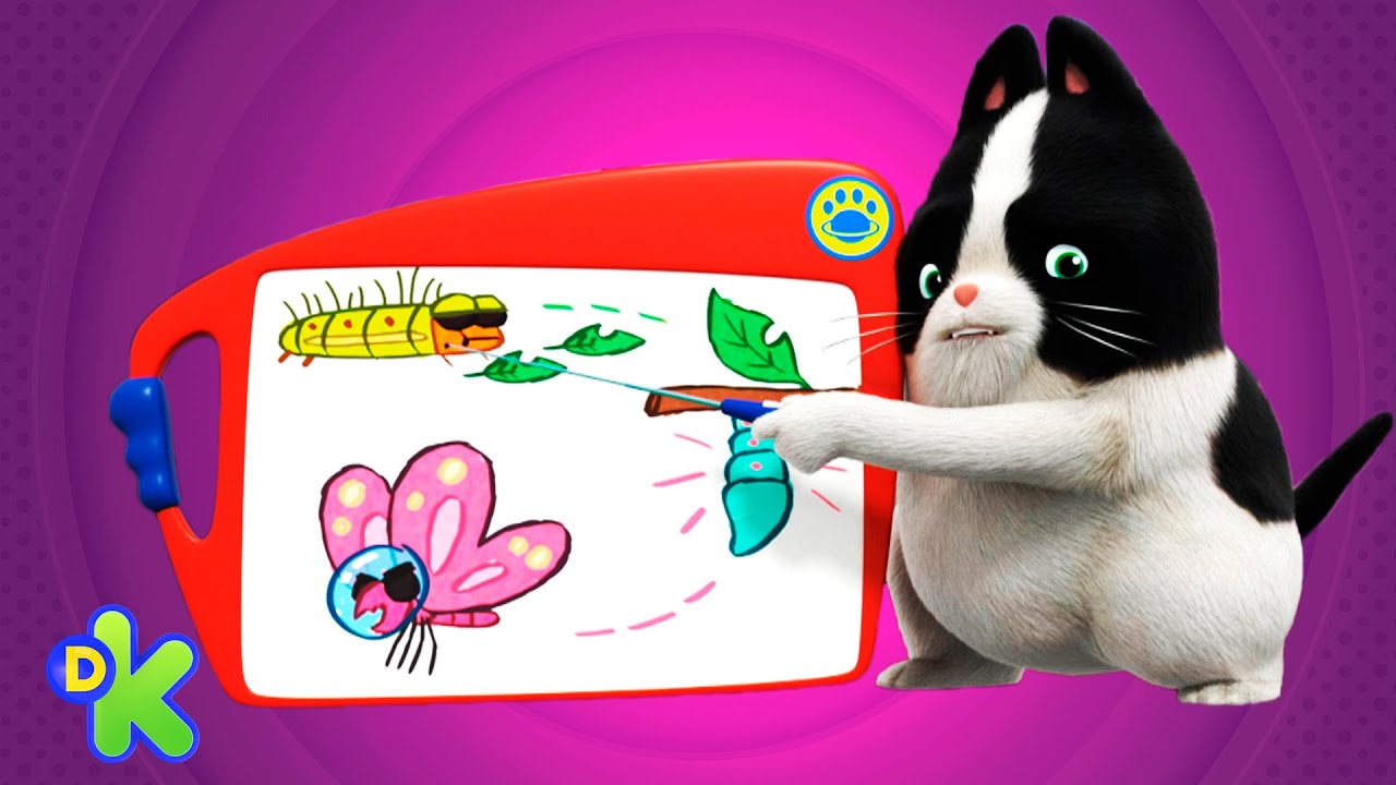 Binky desconfia de borboleta no quarto | Agente Binky Ao Resgate! | Discovery Kids Brasil