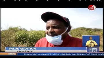 Mango farmers in Kitui urged to join Saccos to aggregate output volumes