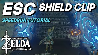 The Frame Perfect Trick That Scares Breath Of The Wild Speedrunners Esc Tutorial - 2021