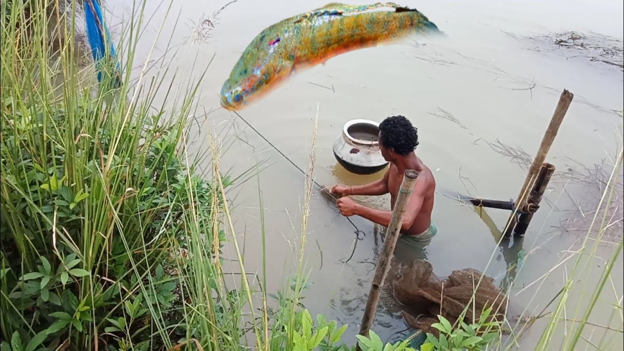Amazing Net Fishing In The Village River / Cast Net Fishing