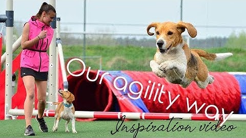 OUR AGILITY WAY | inspiration video | Angie
