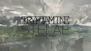 Tryptamine - Stelae (Official Music Video)