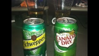 Canada Dry VS Schweppes (Ginger Ale) Battle Review