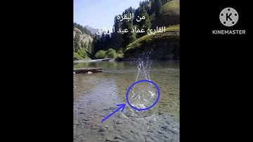 من البقرة/القارئ عماد عبد الرزاق