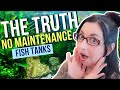Self Sustaining Ecosystem in Your Aquarium  🐠 No Maintenance Fish Tanks