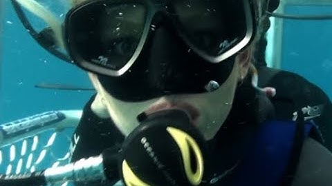 サメだらけの海に投げ出され…!?映画『ケージ・ダイブ』予告編
