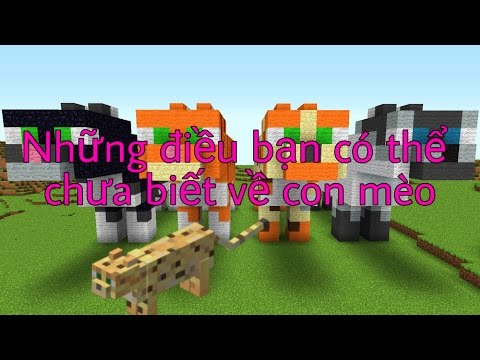 Video Những điều bạn có thể chưa biết về con mèo (ocelot) - youtube