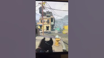 WHAT THE MW3 BETA LOOKED LIKE ON PS4 😭