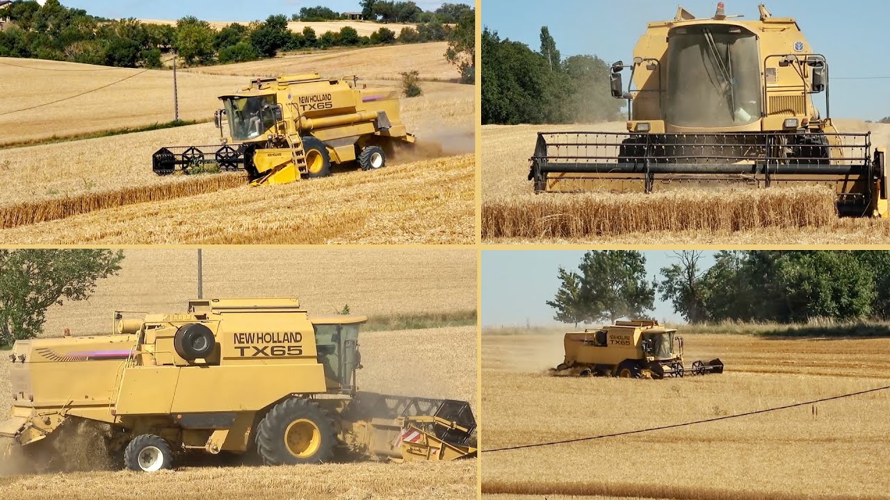 *BONUS* NEW HOLLAND TX65 au boulot en solo | Son direct | Moisson 2025