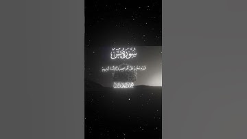 سورة يس|63-65|القارئ:#محمد_اللحيدان #قران #quran  #قران_كريم #تلاوة #تلاوة_هادئة #آية #تلاوة_خاشعة