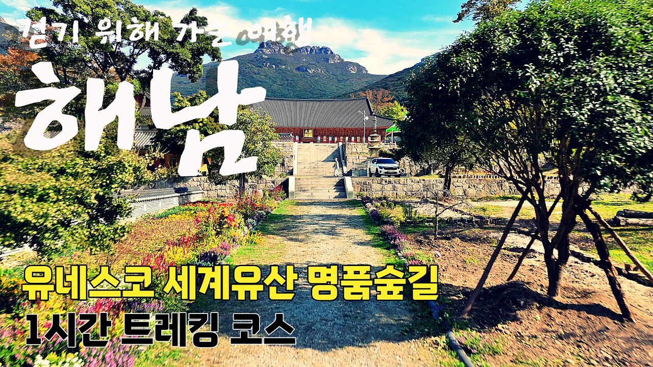 [나홀로 트레킹] 땅끝 해남의 명품숲길 유네스코 세계유산 구경하기 | 임진왜란 의승병의 대흥사 호국불교 여행 코스 추천 | Trekking in korea 4K