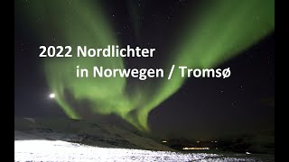 Nordlicher  Tromsø Norway 2022 schöne Fotos / Aurora borealis /Polarlichter