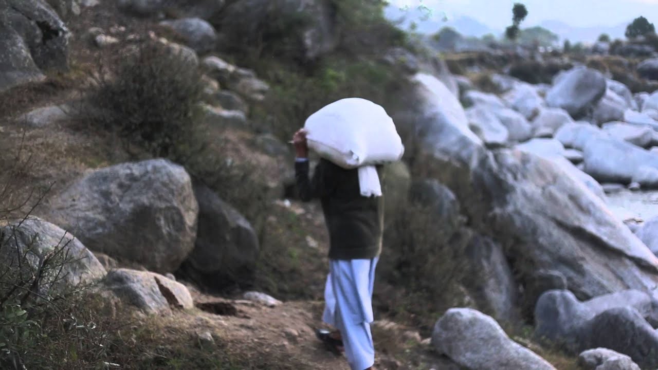 The Hope of Tea Teaser