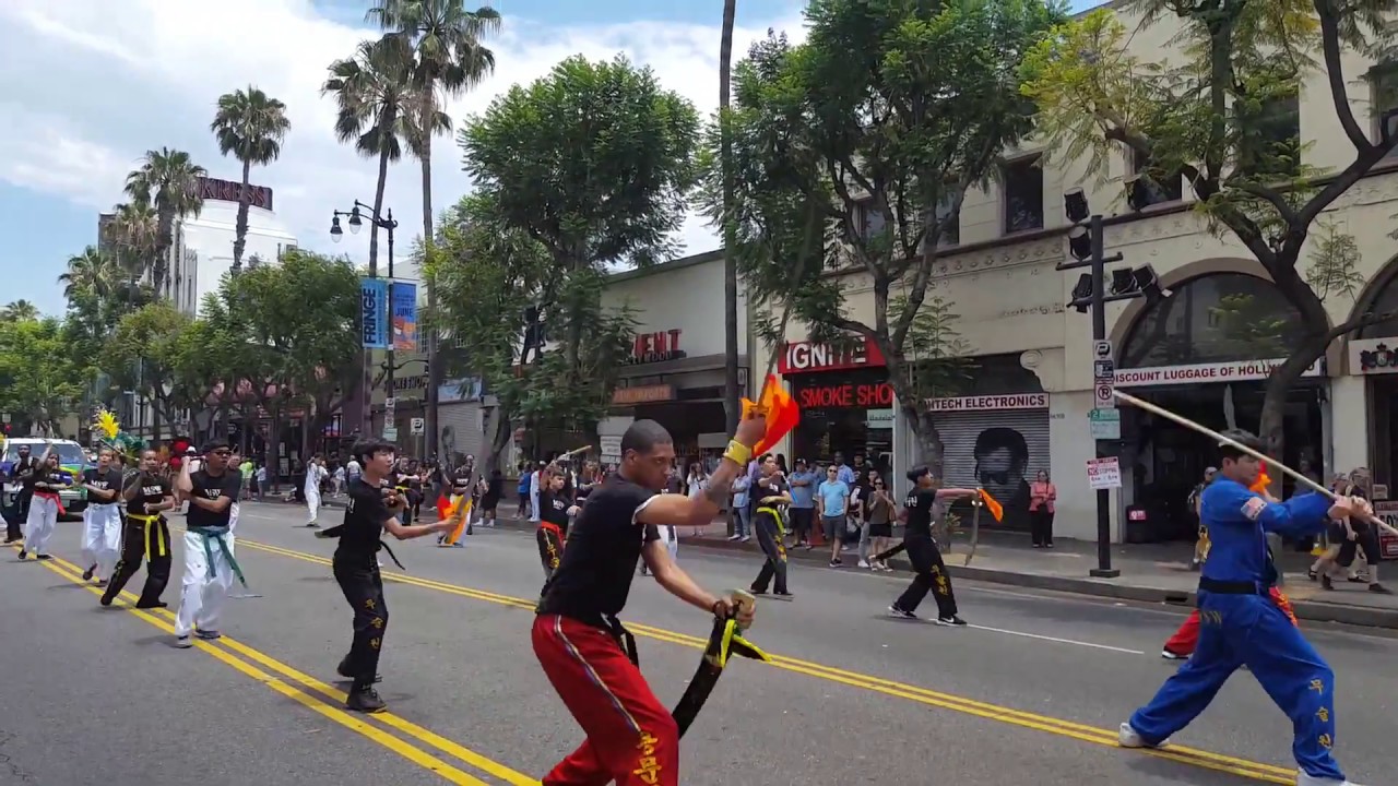 MSW Martial Arts Stages At Hollywood Carnival 2017 YouTube