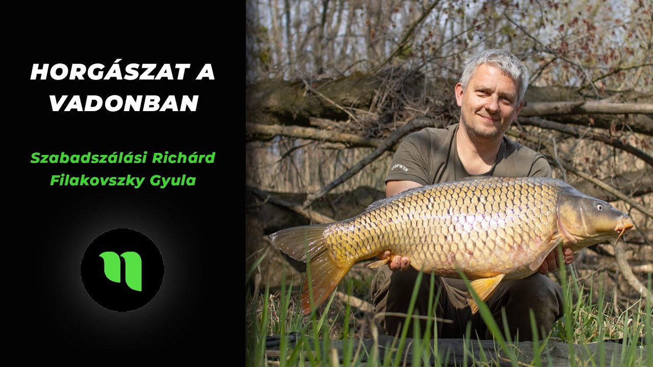 🎣 Horgászat a vadonban – Rába folyó | Nikl Economy & Premium Eper csalikkal 🌿🐟