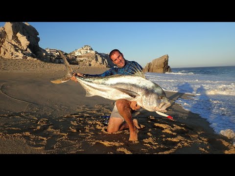 Pêche du poisson-coq au Costa Rica : le paradis du pêcheur