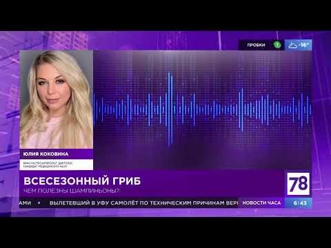 "Полезное утро" о шампиньонах