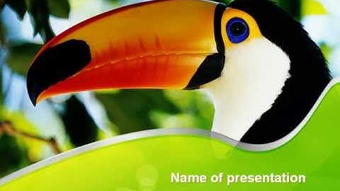 Southern Mexico Toucan PowerPoint Template by PoweredTemplate.com
