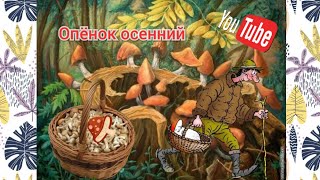 Опёнок осенний. Сбор грибов возле дома